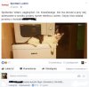 Co tam kot...