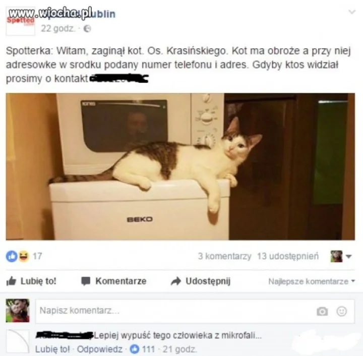 Co tam kot...