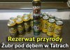 Rezerwat przyrody