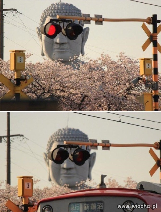 Terminator