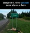 Znaleźć swoje miejsce na ziemi