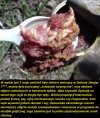 Powiedzenie, że ktoś zjadł zęby na wojnie