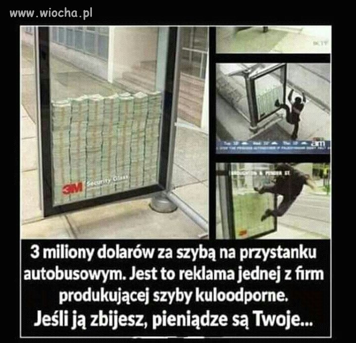 W Polsce by sobie poradzili