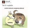 Tak to wygląda