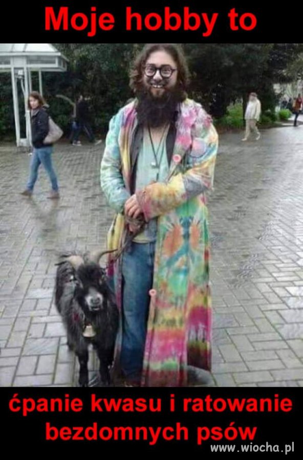 Hobbysta