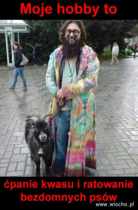 Hobbysta