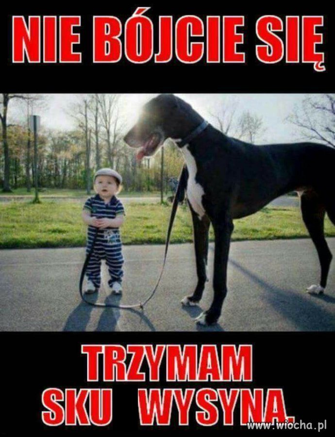 Trzymaj