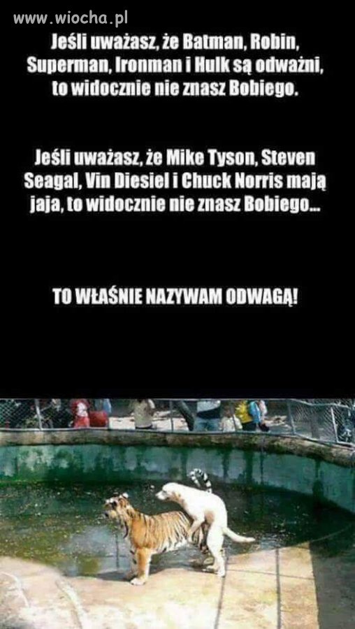 Jak przyjdzie ochota...