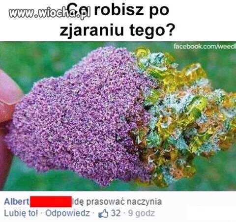 Co robisz po zjaraniu tego??