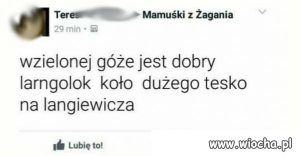 Szkoła sie kłania