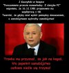 Coś całkiem zdrowy ten samobójca