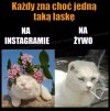 Każdy zna