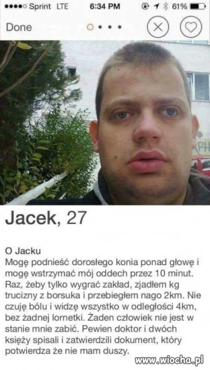 Niezły typ