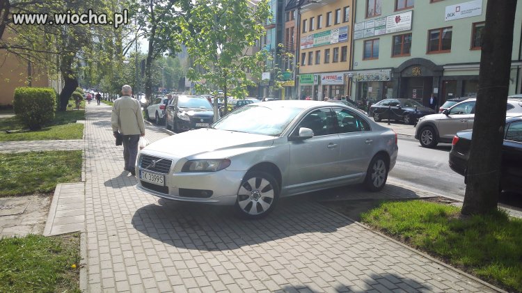 Mistrz parkowania