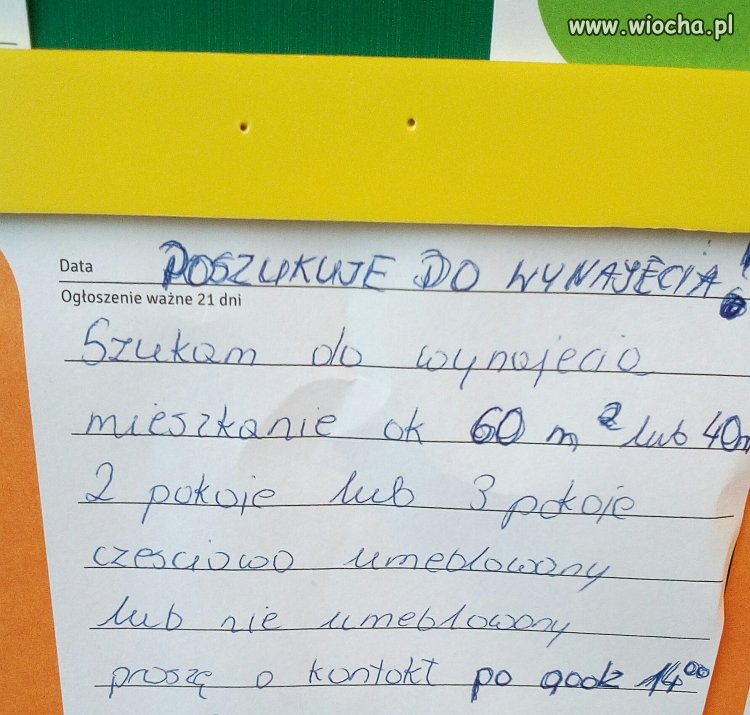 Nie zdecydowany poziom ekspert 