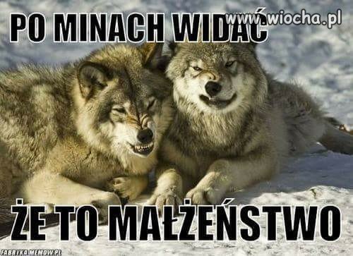 Też mi sie tak wydaje
