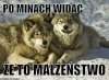 Też mi sie tak wydaje
