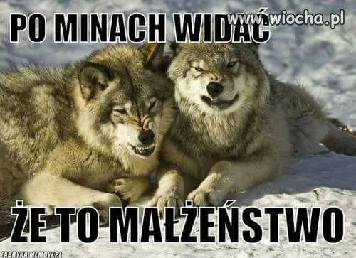Też mi sie tak wydaje