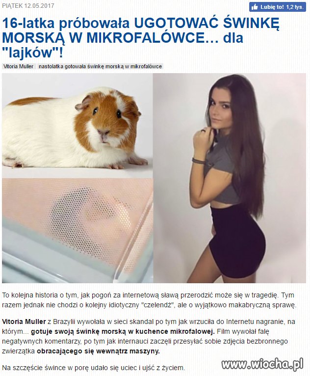 Wiadomo, że piękno nie idzie w parze z rozumem