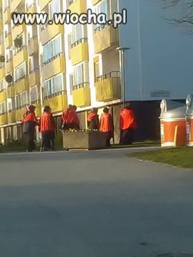 Sharia patrole w Sztokholmie 