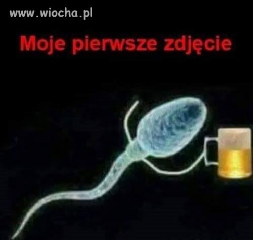 Moje 