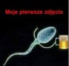 Moje 