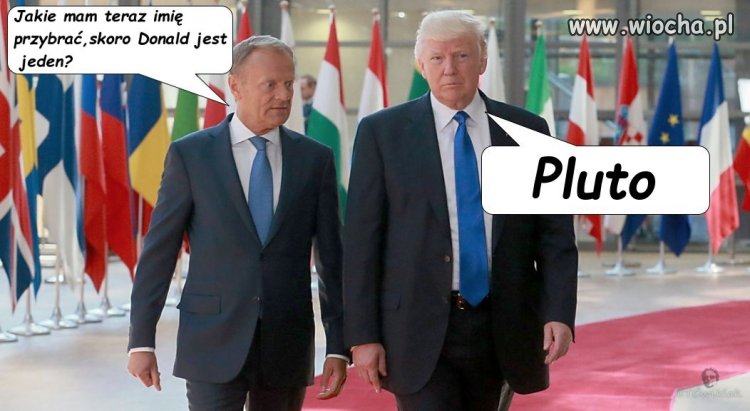 Jeden  Donald wystarczy 