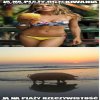 Laski na plaży