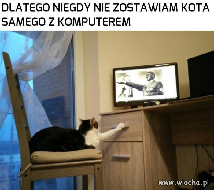 Brak mi słów