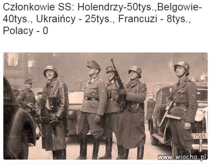 Polacy, zamiast do SS
