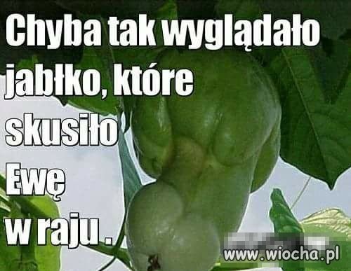 Pierwsze jabłko