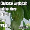Pierwsze jabłko