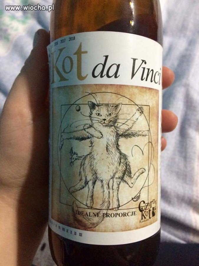 Kot da Vinci