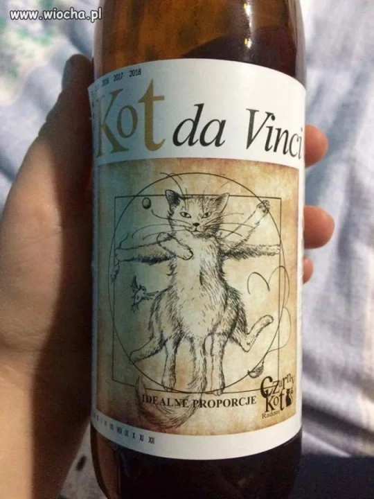 Kot da Vinci