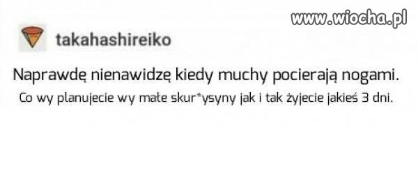 One coś knują
