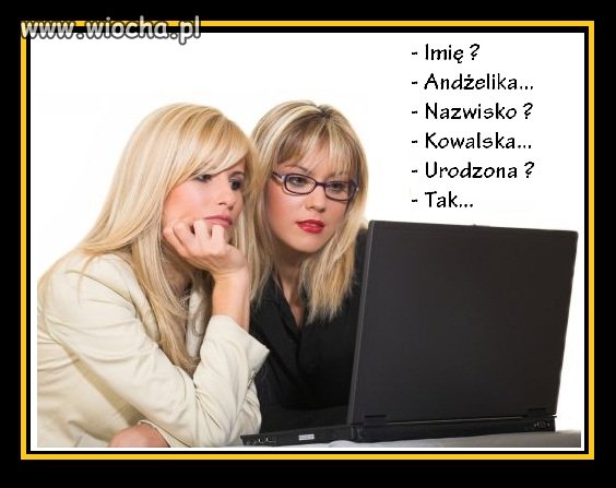 Blondyny piszą CV...