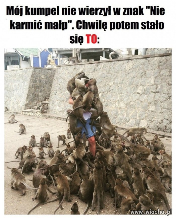 Trzeba było słuchać