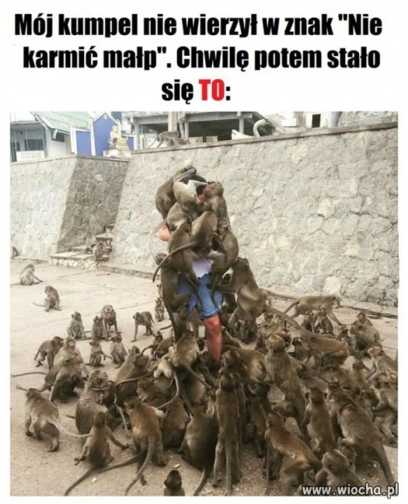Trzeba było słuchać
