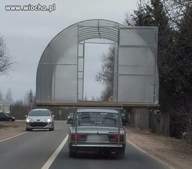 Mistrz transportu