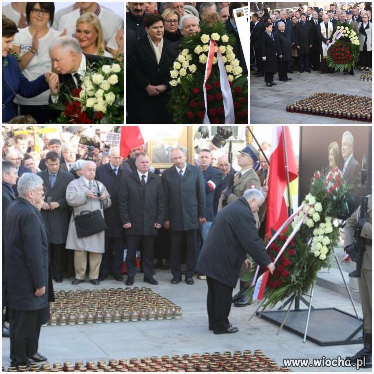 Z cyklu "białe róże"