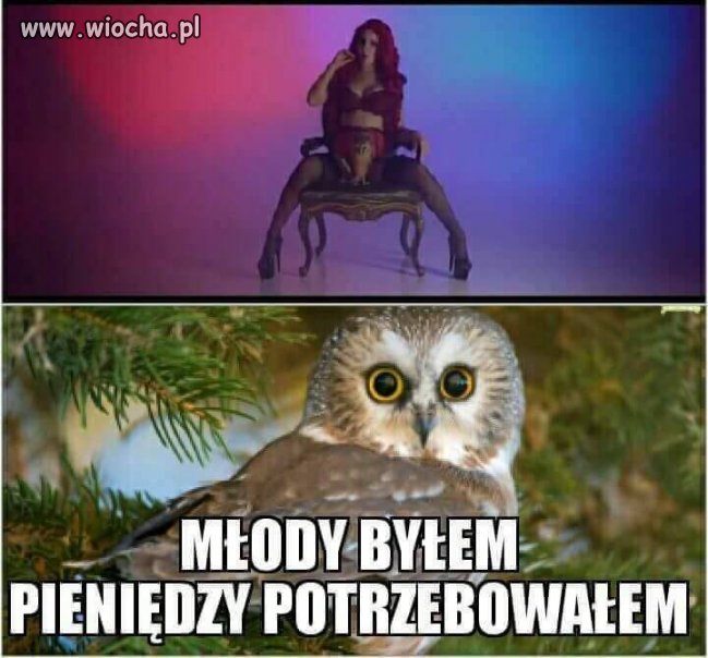 Zwierzenia Poka-sowy