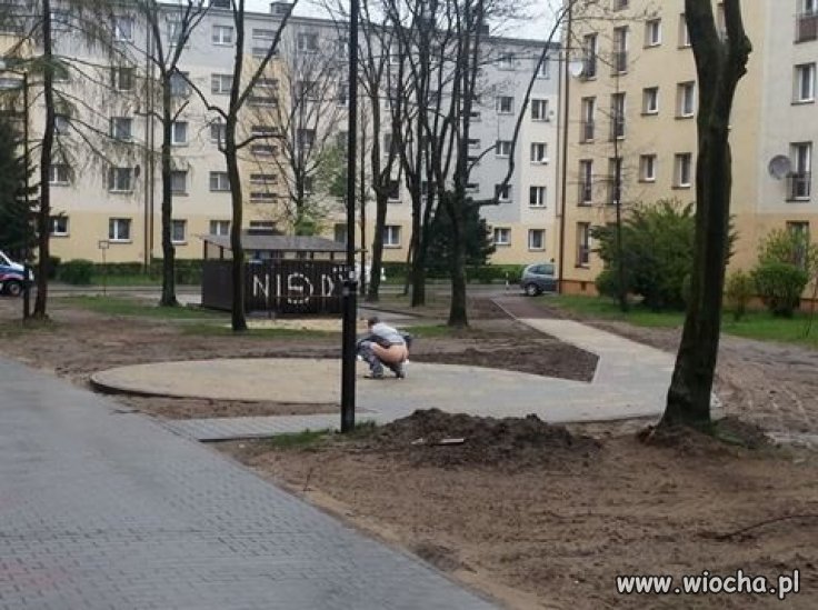 Dzień świra