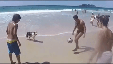 Uuupsss ...