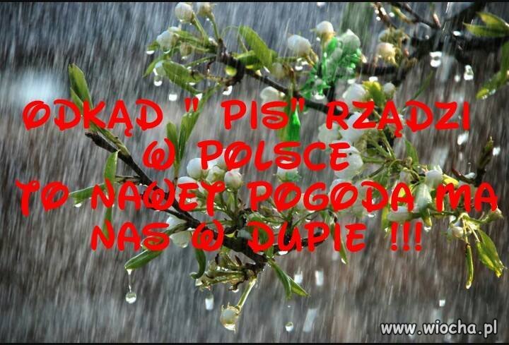 Pogoda