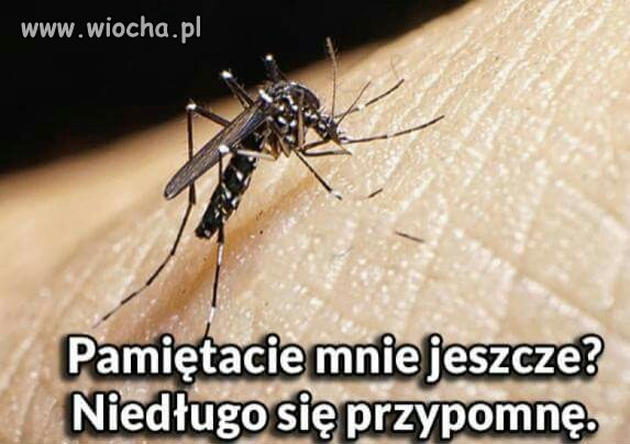 Już niedługo