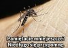 Już niedługo