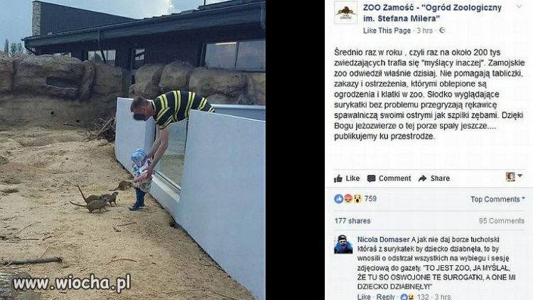 Debil to mało powiedziane