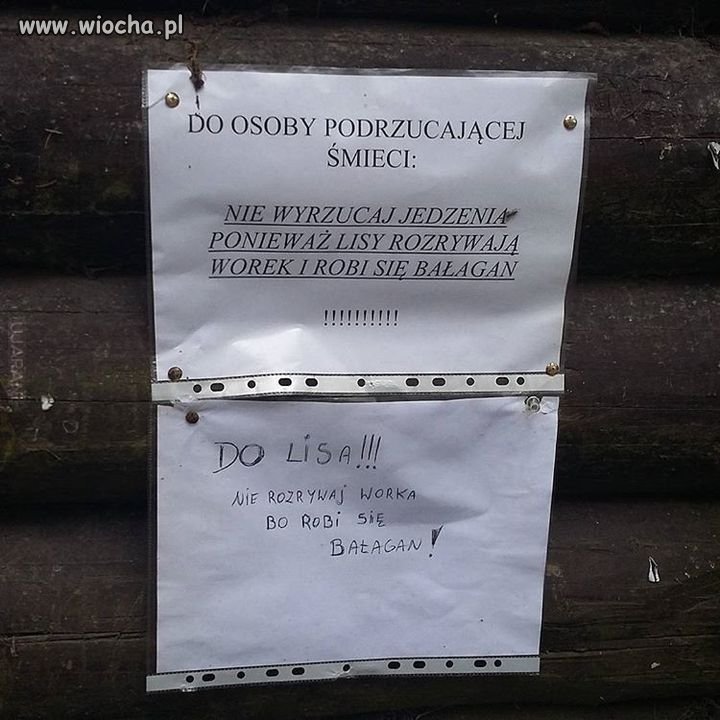 Komunikacja międzysąsiedzka 
