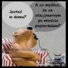 Nie myśli