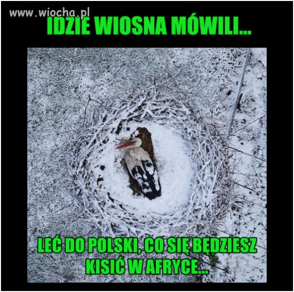 Wiosna 
